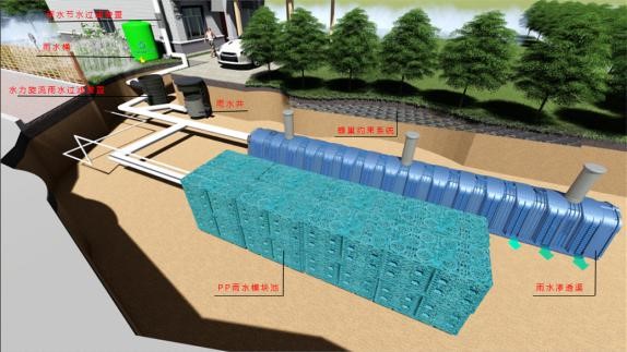 202202231449315了；猫； 68.jpg